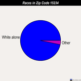 15234race