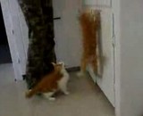 ʢ�ڥ������ƥ��ߥե�ʥͥ�