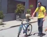 �ðۤΰ������ǽ鿴�ԤǤ��ñ�ʼ�ž�֥֡��㥤���Х�����