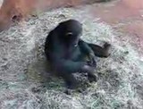 �ͤ��ޥޡ������Τ����뤵�󥫥���ˤʤˤ��Ƥ�Ρ���