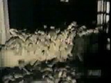 ���ͥ����ͥ���