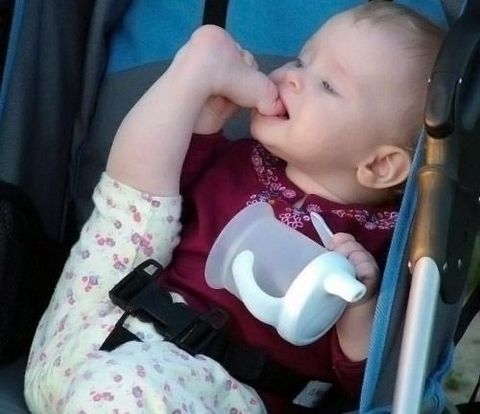 �ܤ����ä��Τۤ�������