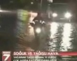 ����ǹ���ȴط�̵������ȯ��