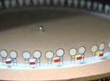�Ի׵Ĥ��Ի׵Ĥʥ��ȥ��ܥ������פ�����