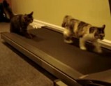 �ͥ��Ɀư��­�ʻ���
