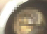 ���륯����������Ȥ������֤ȼ���ˡ
