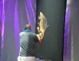 �Υ�Υꥹ�ԡ��ɥڥ���ƥ���