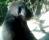 �����ο�ʵ��ư��Ȥ館�����Ťʱ���