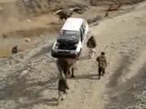 �饯���Ͻ��פʱ������ʤǤ���