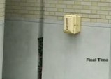 ヘビ型というかキモい動きのロボット