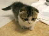 �İ������뤾��û­�ޥ������