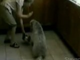 ������󤪤⤷��������������