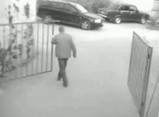 ���������󥢥�ɤ˥Υߥ͡��Ȥ��줽���ʿͤ����α�����������