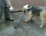 �⤦���Ф�Υ���ʤ����