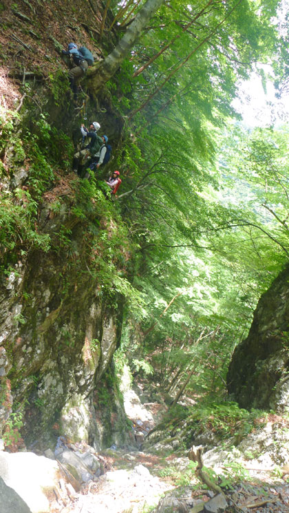 高巻くもよし