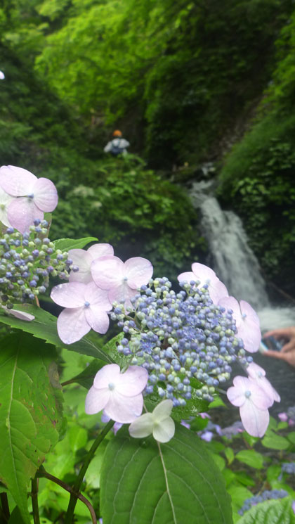 花を愛でながら