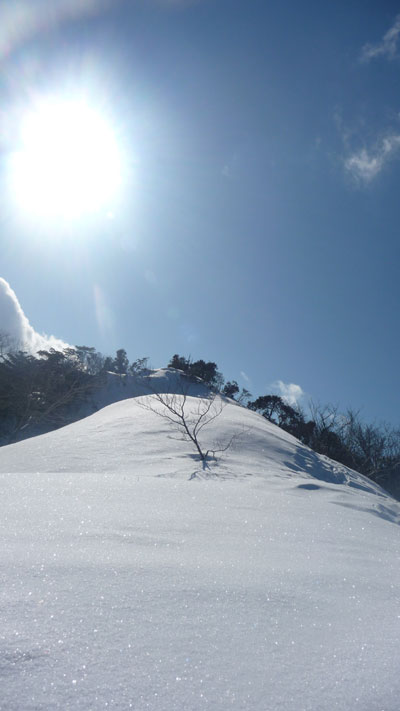 堂満岳の氷結吟醸酒