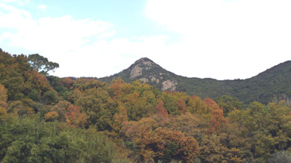 吉田富士もエエ紅葉