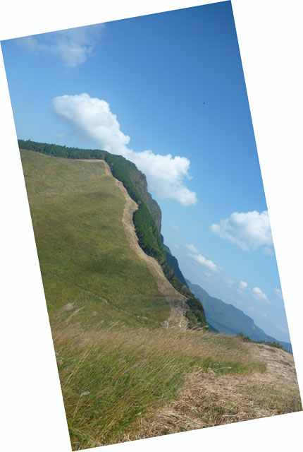 a-susukinomai4
