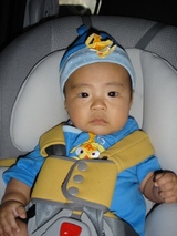 魚のしょうくん