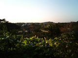 ワイルドキッズ岬キャンプ場09