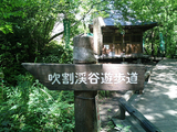 吹割の滝04