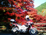 大芦渓谷の紅葉01