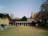 桜咲く自由学園4