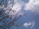 �����κ��餯����05