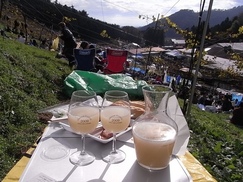 �����磻����Ϻ�2009-00