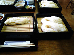 稲庭うどん佐藤養助商店10