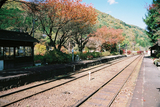 紅葉のわたらせ渓谷鐵道01