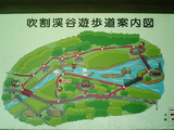 吹割の滝10