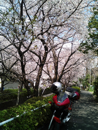 �����κ��餯����12