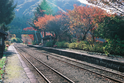 紅葉のわたらせ渓谷鐵道19