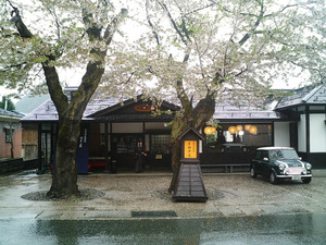 稲庭うどん佐藤養助商店01