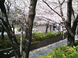 �����κ��餯����02