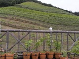 �����磻��2009_17