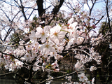 �����κ��餯����08