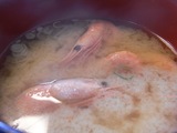 ���βڳ��ι��꿩07