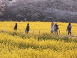 ���긢��Ʋ��κ�09