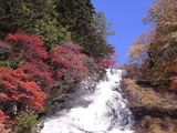 ��������椫���į��04
