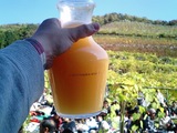 �����磻����Ϻ�2007-3