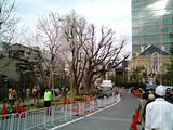 赤坂サカス26