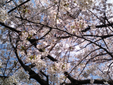 �����κ��餯����06