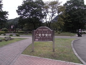 �˥å����𥹥����ܾ붮��α��01