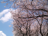 �����κ��餯����09