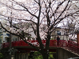 �����κ��餯����07