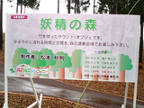 太田市北部運動公園の芝桜17
