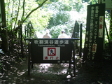 吹割の滝11